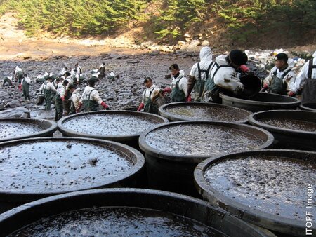 Shoreline clean-up and temporary storage