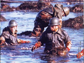 The NAKHODKA oil spill response - The Technical Adviser's perspective (1997)