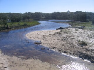 Approaches to environmental damage claims (2009)