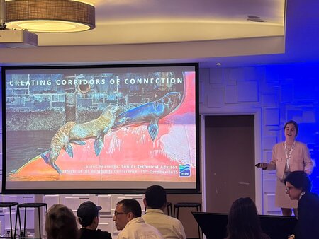 ITOPF presenter wearing pink suit presenting in front of projector screen with ITOPF content on