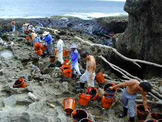 Comparative costs of low technology shoreline cleaning methods (1999)