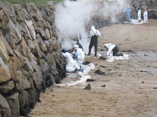 Management and work force requirements for effective shoreline cleaning operations (2000)