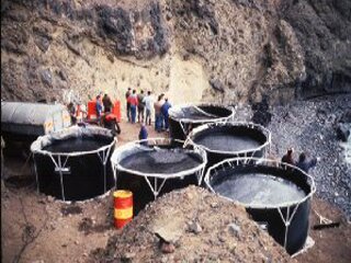 ARAGON, off Madeira, 1989