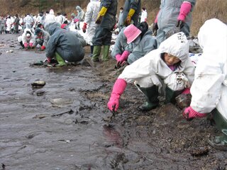 Volunteers and oil spills - a technical perspective (2011)