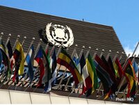 ITOPF receives special certificate for its contribution to the work of IMO 