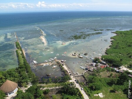 Oiled mangrove shoreline