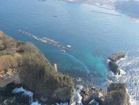 Response considerations when marine spills affect coastal agriculture (2017) 