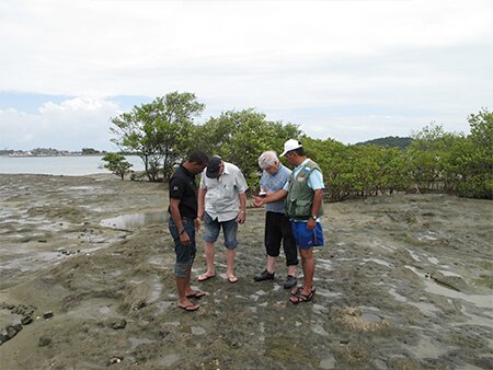 Are post-spill environmental studies becoming the norm? (2015)