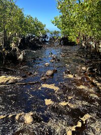 PRINCESS EMPRESS, Philippines, 2023