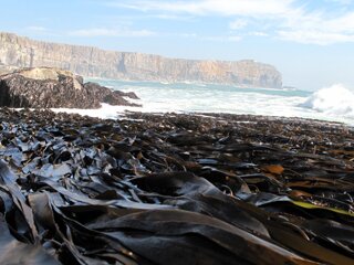 New horizons: Dealing with major oil spills from non-tanker sources (2011)