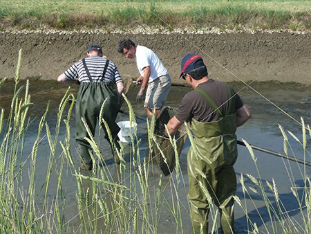 Update on FishHealth Project, 2012 ITOPF R&D Award Winner