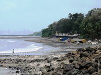 Containers stranded on a beach 