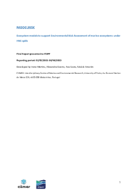 MODELRISK_Final_report_2023.pdf