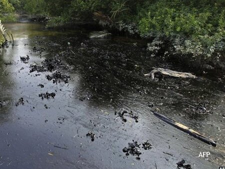 Oil Spill in the Sundarbans, Bangladesh