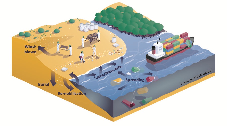 Diagram of plastic pellet clean up on a shoreline